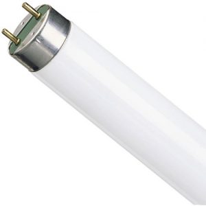 Лампа люминесцентная TL-D 36W/54 G13 PHILIPS Лампа люминесцентная TL-D 36W/54 G13 PHILIPS
